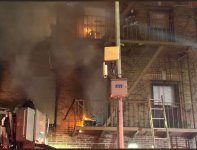 IMG_3744.jpeg IMG_3744.jpeg