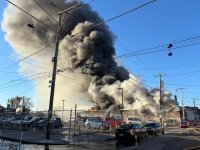 1731558235533.jpeg 1731558235533.jpeg