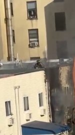 IMG_9171.jpeg IMG_9171.jpeg