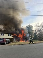 IMG_9517.jpeg IMG_9517.jpeg