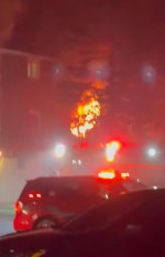 IMG_9240.jpeg IMG_9240.jpeg