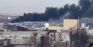 IMG_0640.jpeg IMG_0640.jpeg