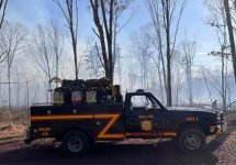 1741740136402.jpeg 1741740136402.jpeg