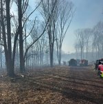 1741745366491.jpeg 1741745366491.jpeg