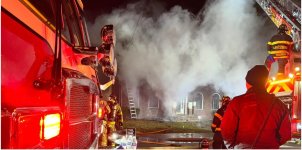 1742753902909.jpeg 1742753902909.jpeg