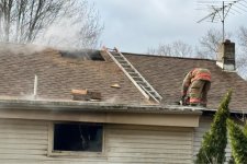 1743534822725.jpeg 1743534822725.jpeg