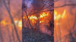 1743965520387.jpeg 1743965520387.jpeg