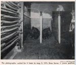 E 219 ap 1 a.jpg