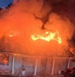 1747882205226.jpeg 1747882205226.jpeg