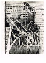 Scan_20250919 (2).png