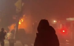 IMG_7157.jpeg IMG_7157.jpeg