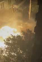 IMG_7159.jpeg IMG_7159.jpeg