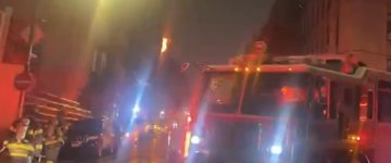 IMG_7288.jpeg IMG_7288.jpeg