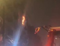 IMG_7289.jpeg IMG_7289.jpeg