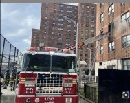 IMG_9135.jpeg IMG_9135.jpeg