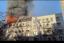 IMG_7989.jpeg IMG_7989.jpeg