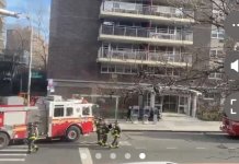 IMG_7998.jpeg IMG_7998.jpeg