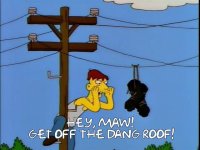 get off the roof.jpeg