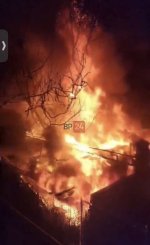 IMG_7275.jpeg IMG_7275.jpeg