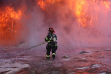 IMG_9295.jpeg IMG_9295.jpeg