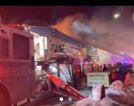 IMG_9446.jpeg IMG_9446.jpeg