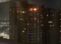 IMG_0200.jpeg IMG_0200.jpeg