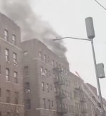 IMG_0227.jpeg IMG_0227.jpeg