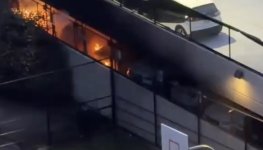 IMG_0963.jpeg IMG_0963.jpeg