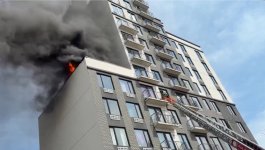 IMG_1444.jpeg IMG_1444.jpeg