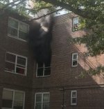 IMG_4438.jpeg IMG_4438.jpeg