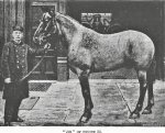 HORAE JIM (2).jpg