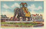ELEPHANT 5.jpg