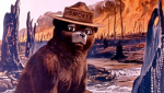1603560512932.png