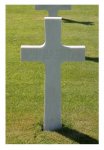 STEFFENS 11.jpg