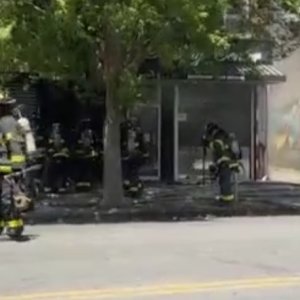 IMG_2041.jpeg