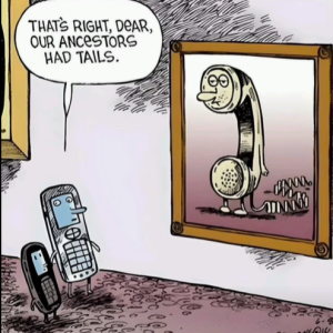 1789589471777.png