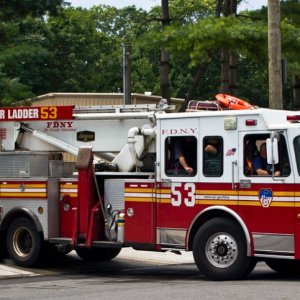 ladder53.jpg