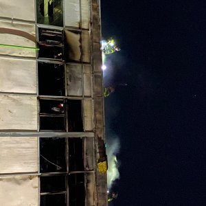 IMG_5678.jpeg
