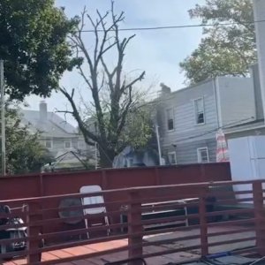 IMG_6823.jpeg