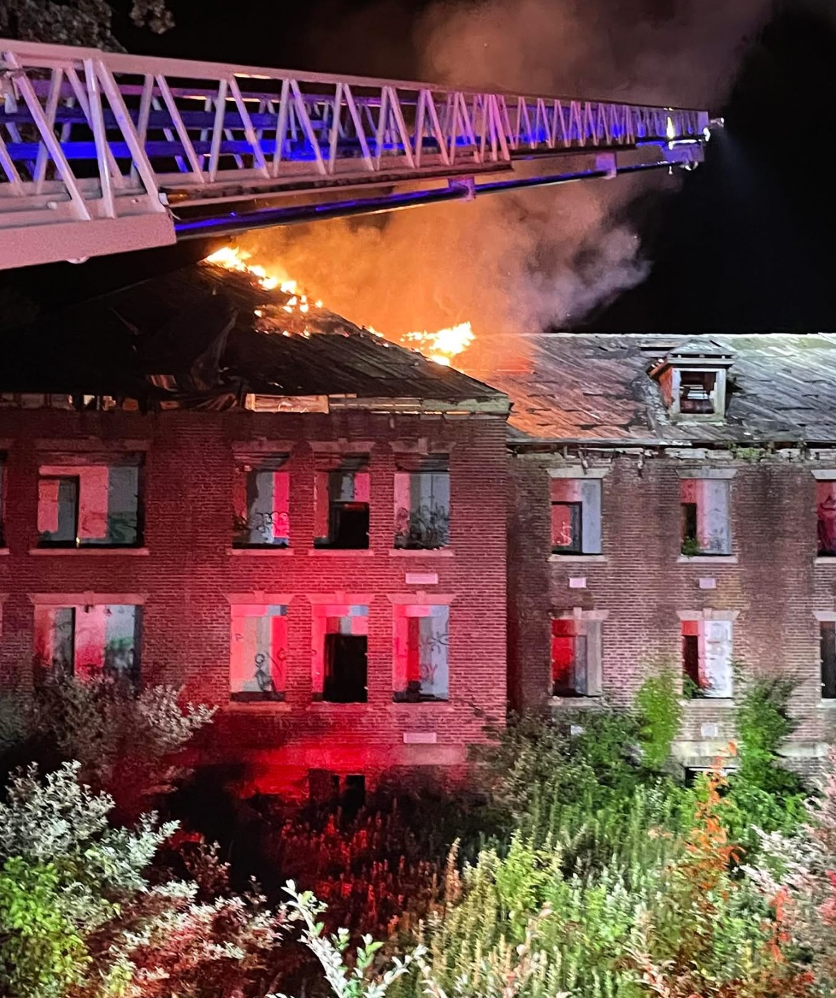 Screenshot 2025-07-05 at 05.35.50.jpeg